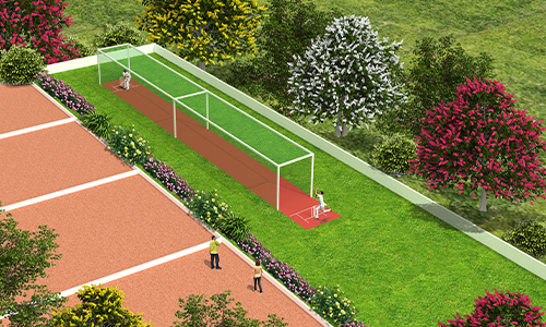  Cricket court